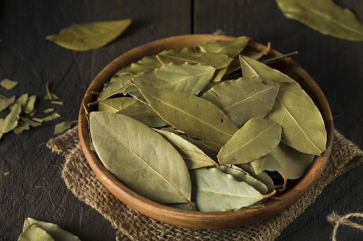 Re Constituted Bay Leaf Oil